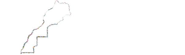 logo-igf-white